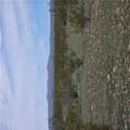 317-20-049 Agate Road - Photo 10