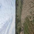 317-20-049 Agate Road - Photo 2