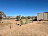 6806 Frerichs Ranch Road - Photo 5