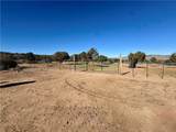 6806 Frerichs Ranch Road - Photo 6