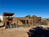6806 Frerichs Ranch Road - Photo 7