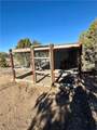 6806 Frerichs Ranch Road - Photo 8