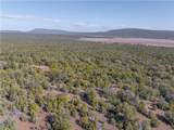 34745 Running Shadow Road - Photo 20
