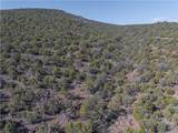 34745 Running Shadow Road - Photo 21