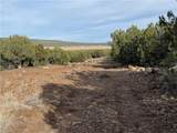34745 Running Shadow Road - Photo 26