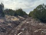 34745 Running Shadow Road - Photo 27