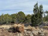 34745 Running Shadow Road - Photo 28