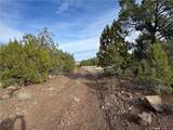 34745 Running Shadow Road - Photo 29