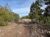 34745 Running Shadow Road - Photo 30