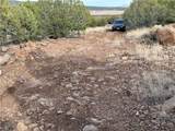 34745 Running Shadow Road - Photo 34