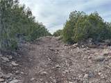 34745 Running Shadow Road - Photo 36