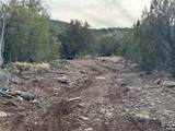 34745 Running Shadow Road - Photo 40