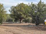 34745 Running Shadow Road - Photo 42