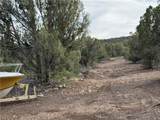 34745 Running Shadow Road - Photo 43