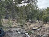34745 Running Shadow Road - Photo 44