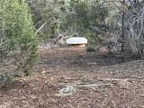 34745 Running Shadow Road - Photo 46