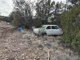 34745 Running Shadow Road - Photo 48