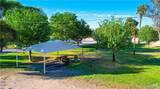 8195 Carob Drive - Photo 35