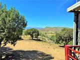 14224 Randy Ranch - Photo 6