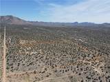14224 Randy Ranch - Photo 72