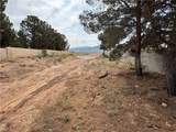 4029 Roma Road - Photo 62