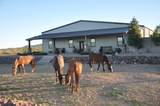 8651 Kristin Drive - Photo 81