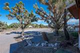 26226 Tamarisk Street - Photo 5