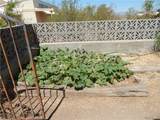 3661 Abrigo Drive - Photo 42