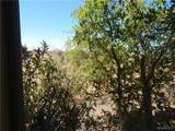 3661 Abrigo Drive - Photo 47