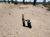 2656 Desierto Road - Photo 18