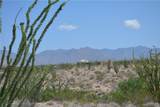 3007 Alamo Road - Photo 8