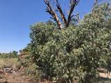 10537 Tropics Road - Photo 2