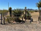 3565 Ehrenberg Road - Photo 43