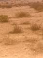 344-16-075 Avenida Sierra Madre - Photo 1