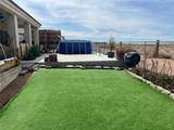9597 Tall Tree Drive - Photo 23