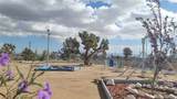 18773 Queen Drive - Photo 4