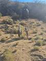252-02-174 Olo Pass - Photo 13