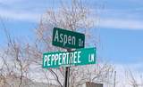8095 Aspen Drive - Photo 39