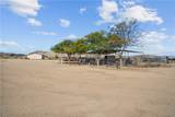 8187 Red Wing Canyon Road - Photo 60