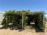 10801 Seventh Street - Photo 30