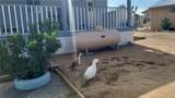 18773 Queen Drive - Photo 42