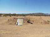 2595 Lucy Lane - Photo 49