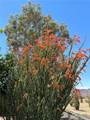 14105 Cactus Road - Photo 43