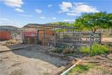 8187 Red Wing Canyon Road - Photo 58