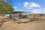 8187 Red Wing Canyon Road - Photo 61