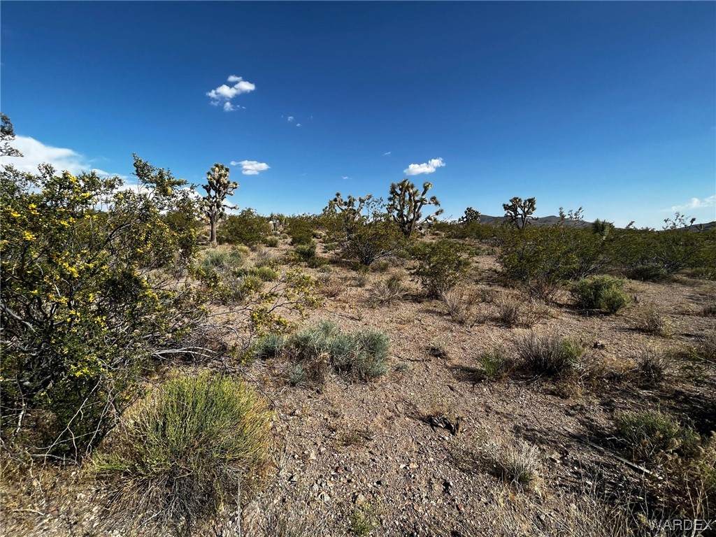 8900 Vista Verde Drive - Photo 1