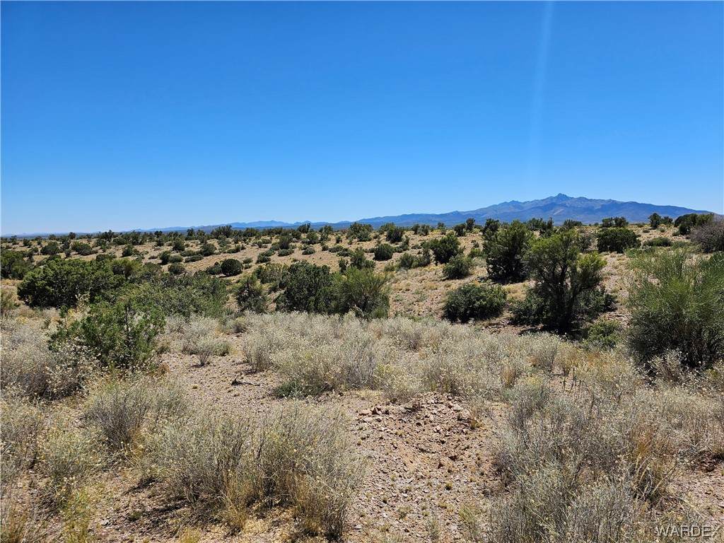 000 Austin Road - Photo 1