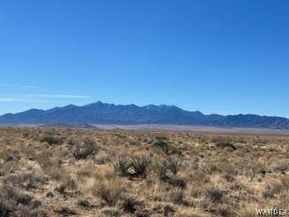 000 Crest Drive - Photo 1