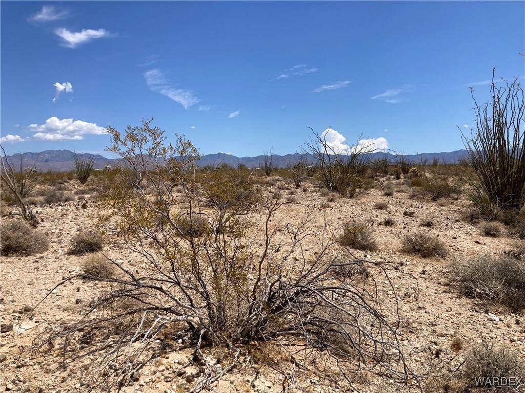 14336 Arizola - Photo 1