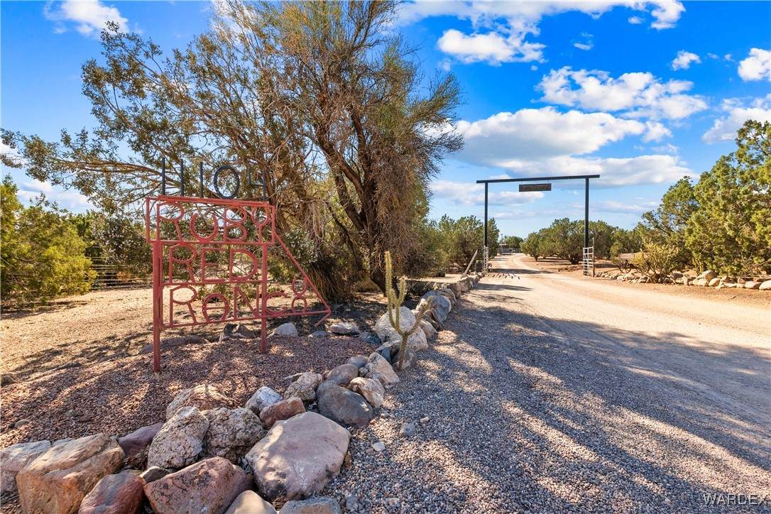 11104 Blue Dog Road - Photo 1
